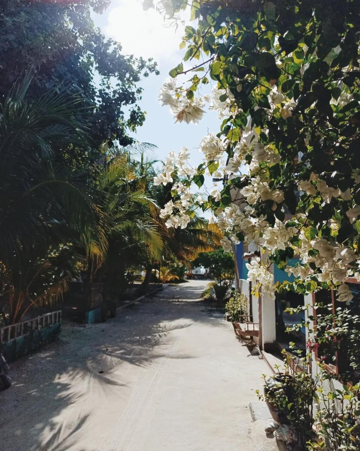 טלאוסדו Kudhi Boli Beach House מראה חיצוני תמונה